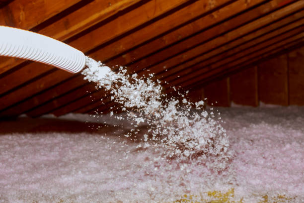 Best Insulation for New Construction  in Riverside, PA